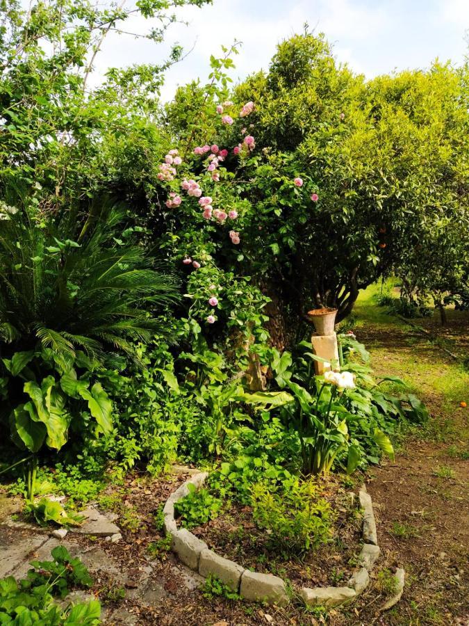 Aricelle Speziali Bed & Breakfast Specchia Gallone Eksteriør bilde