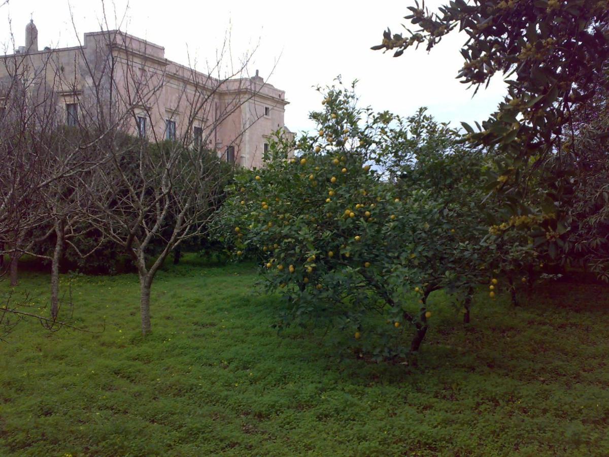Aricelle Speziali Bed & Breakfast Specchia Gallone Eksteriør bilde